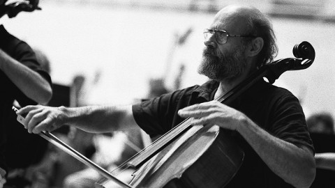 Member of the Barcelona Symphony