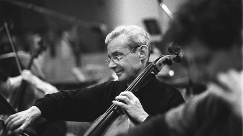 Member of the Rundfunk-Sinfonieorchester Berlin