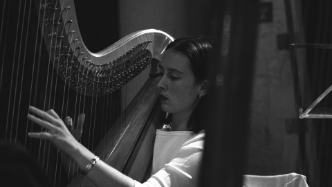 Member of the Rundfunk-Sinfonieorchester Berlin