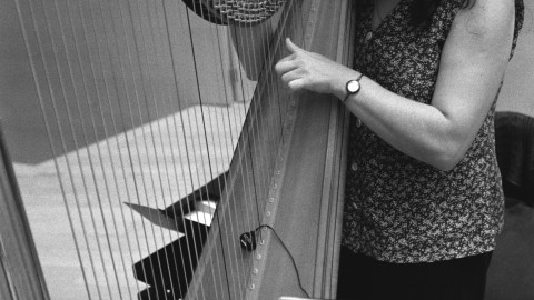 Members of the Barcelona Symphony