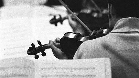 Members of the Rundfunk-Sinfonieorchester Berlin