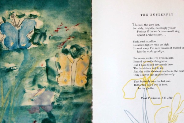 Charles Davidson on I Never Saw Another Butterfly